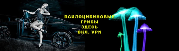 apvp Алзамай