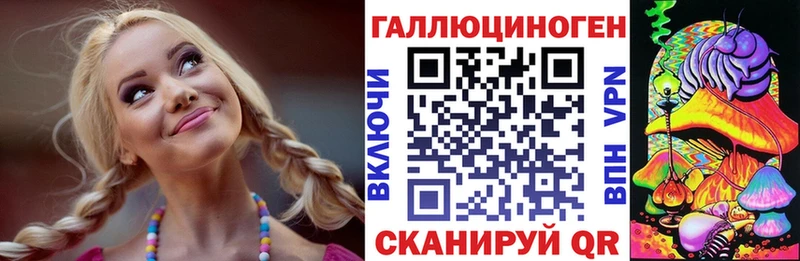 цены   Буй  Псилоцибиновые грибы Psilocybine cubensis 