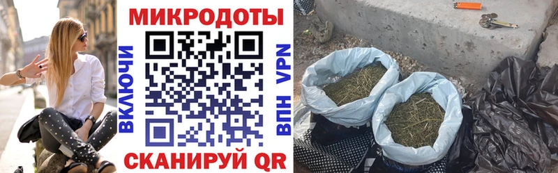Галлюциногенные грибы прущие грибы Буй